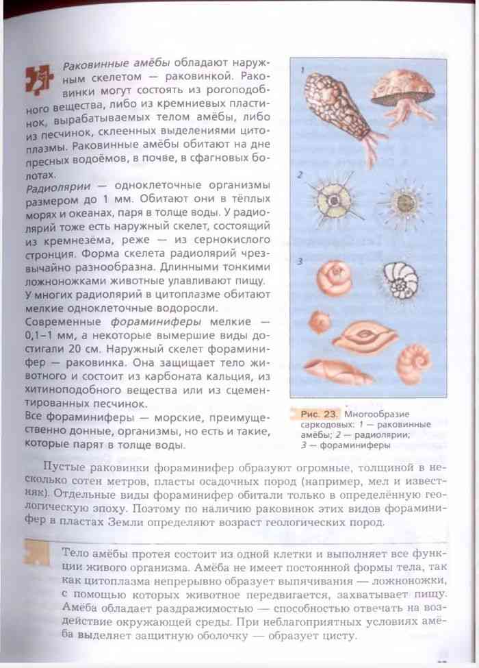 Учебник Биология 7 класс Константинов Бабенко читать онлайн